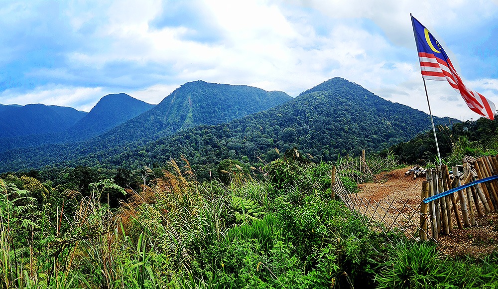 Malaysias Bergwelt: Die “Cameron Highlands”