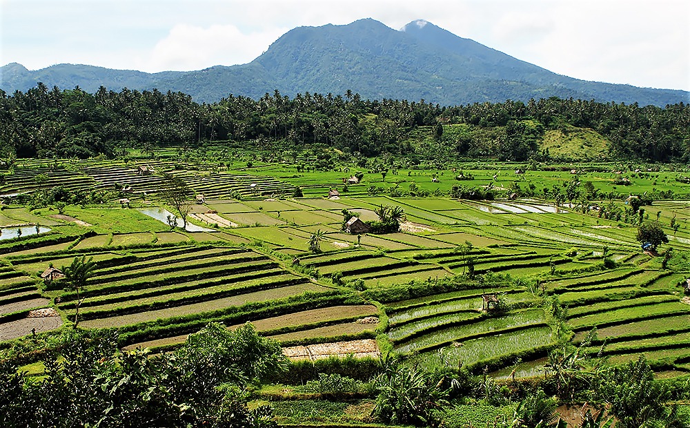 Balis Reisterrassen: “Himmelstreppen der Götter”