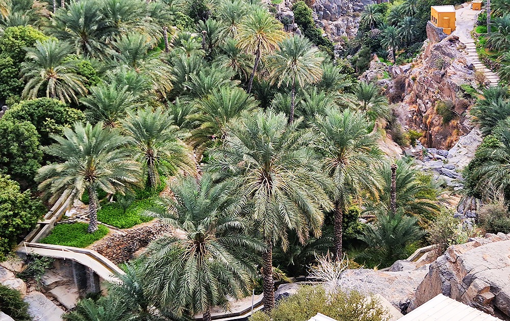 Palmenoase in Misfah al Abriyyin, Oman © "Asien-Lifestyle.com by Nathalie Gütermann"